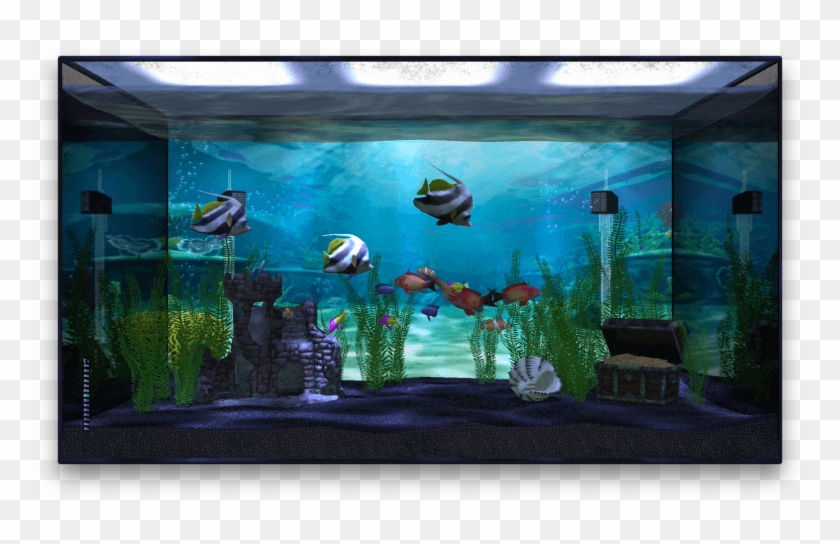 Transparent Fish Fresh Water - Tv In Aquarium Clipart #5048169