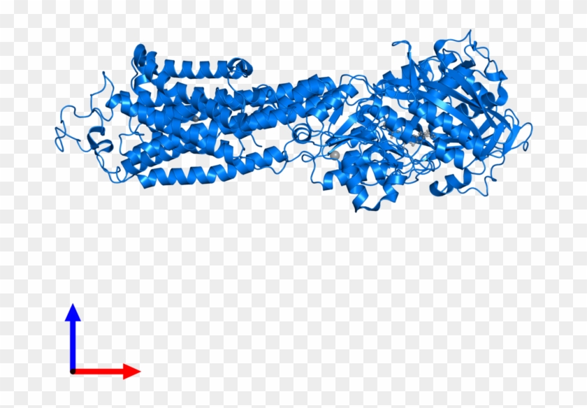 Clip Art - Png Download #5048457