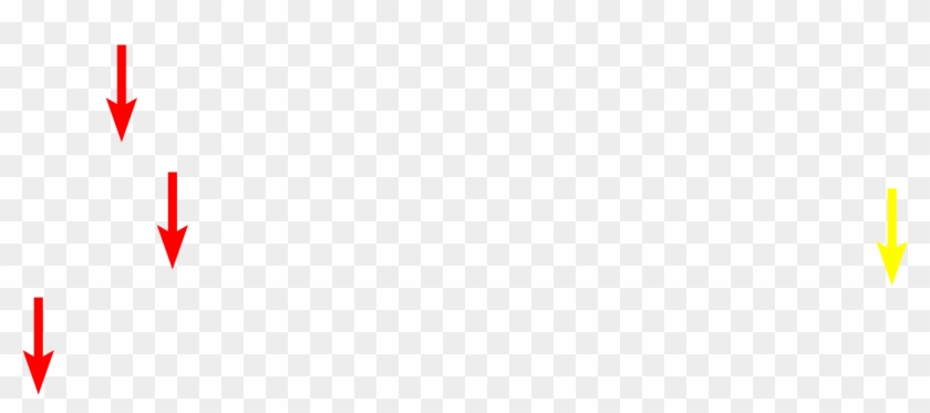 Rer > <p>ribosomes Are Also Present As A Component - Colorfulness Clipart #5048480