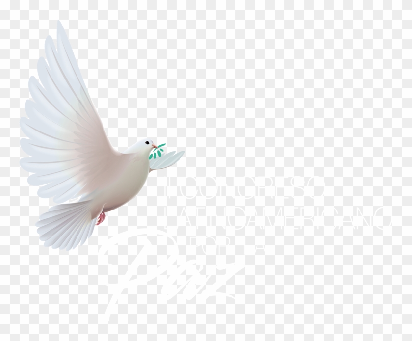 Logo Congreso Por La Paz - Pigeons And Doves Clipart #5048508