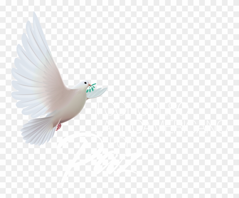 Logo Congreso Por La Paz - Pigeons And Doves Clipart