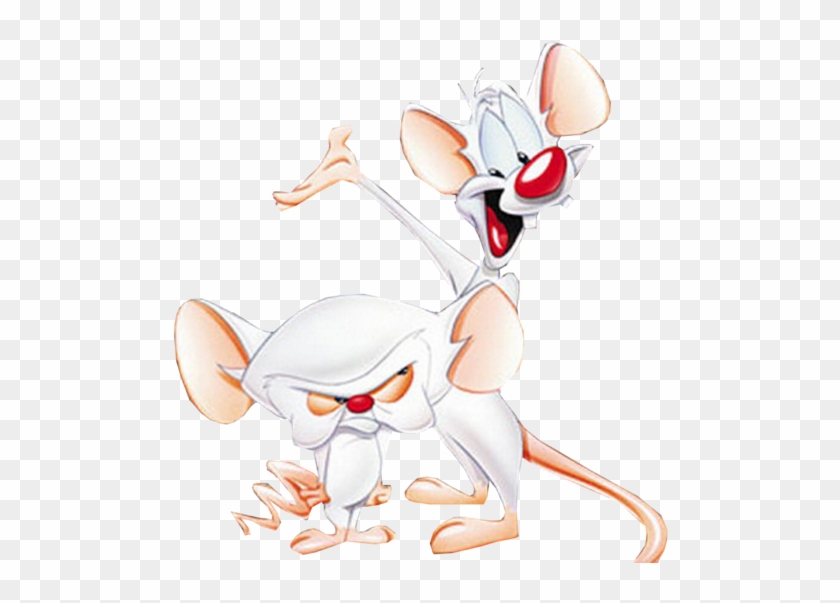 Download Drawings Of Pinky And The Brain Clipart Png Download - PikPng