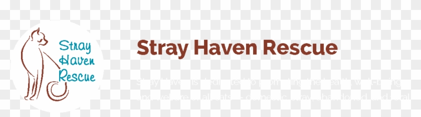 Full Size Image - Darkness Clipart