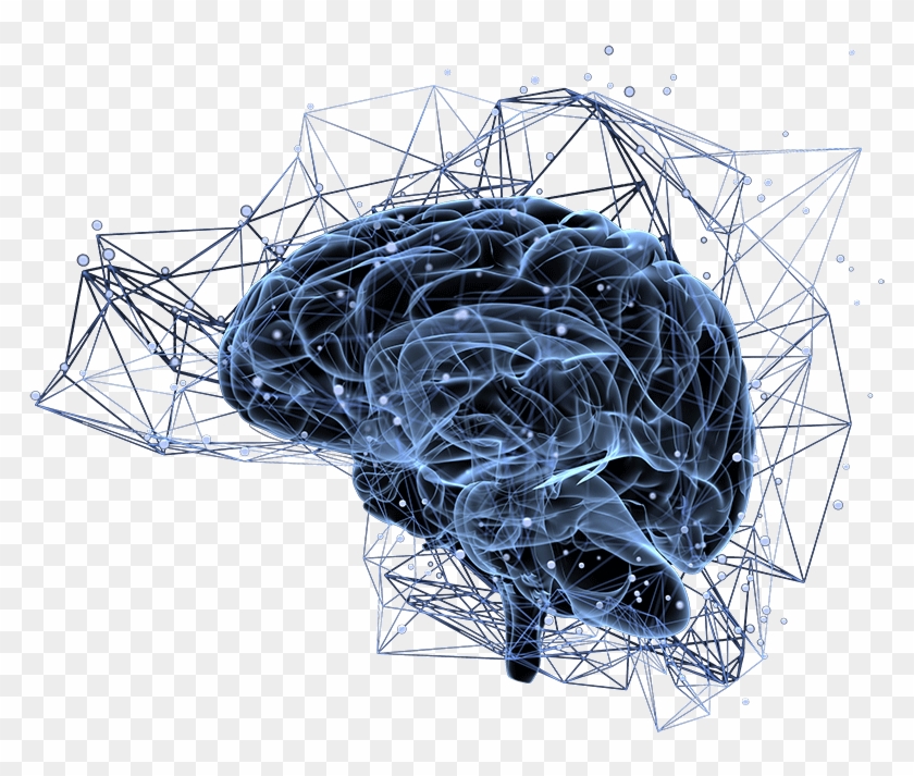 Brain Neural Circuits Clipart