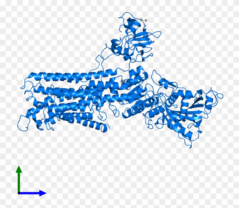 <div Class='caption-body'>pdb Entry 2c9m Contains 1 Clipart #5049637