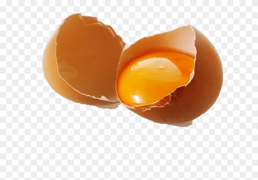 Eggs Are Quite “in” These Days - Open Egg Png Clipart #5049639