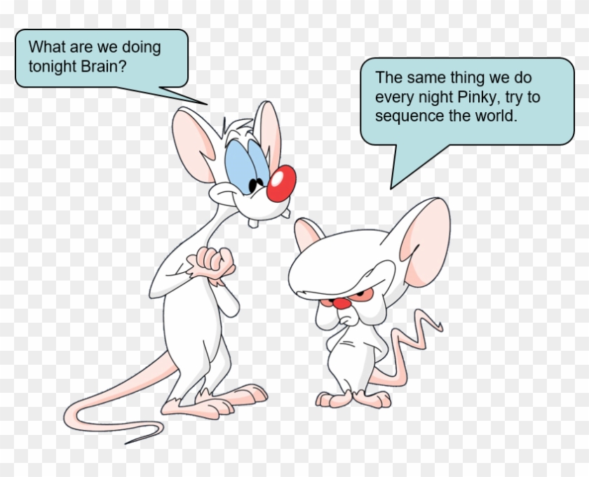 0 Replies 13 Retweets 25 Likes - Pinky And The Brain Words Clipart #5049733