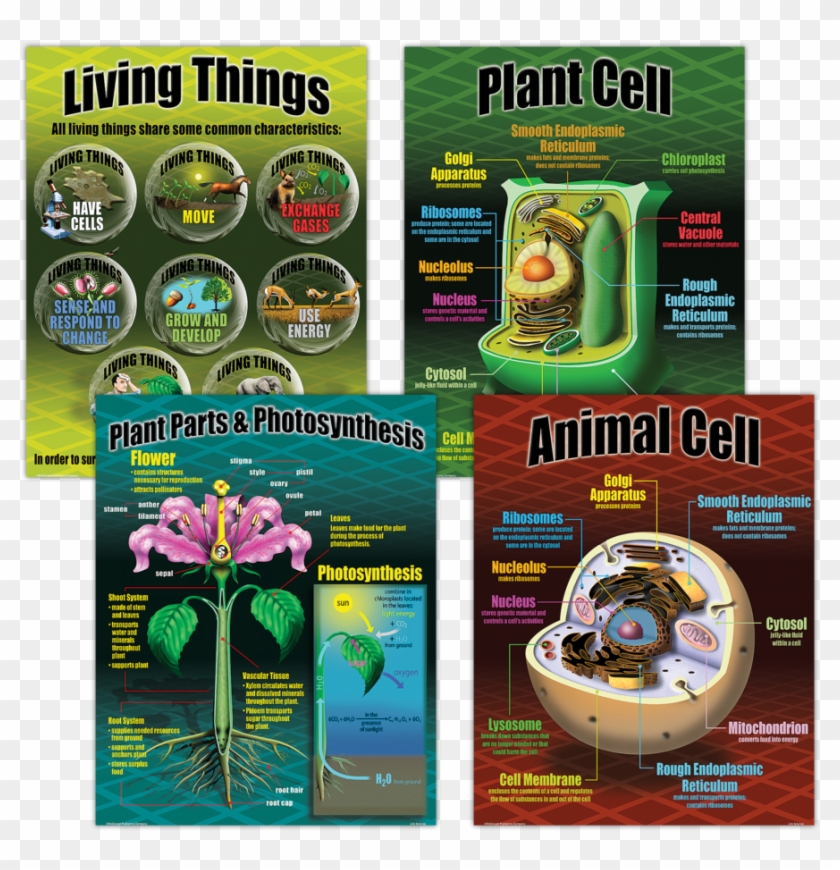 Tcrp077 Life Science Poster Set Image - Poster About Life Science Clipart #5050121