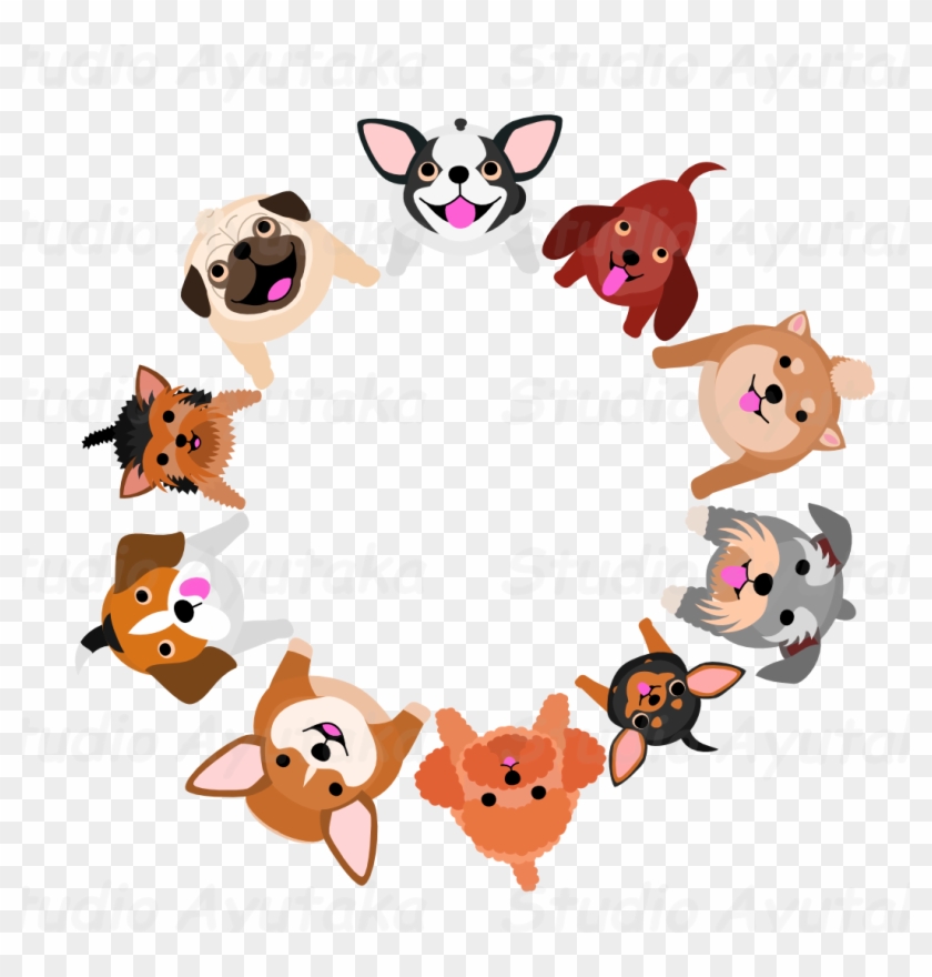 Sitting Small Dogs Looking Up Circle Studio Ayutaka - Dogs Looking Up Clip Art - Png Download