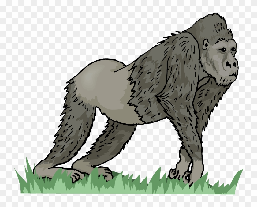 Free - Fauna Africa Para Colorir Clipart #5050646