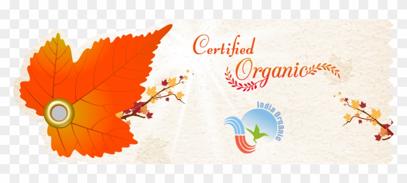 Creative Leaf Tag - Floral Design Clipart