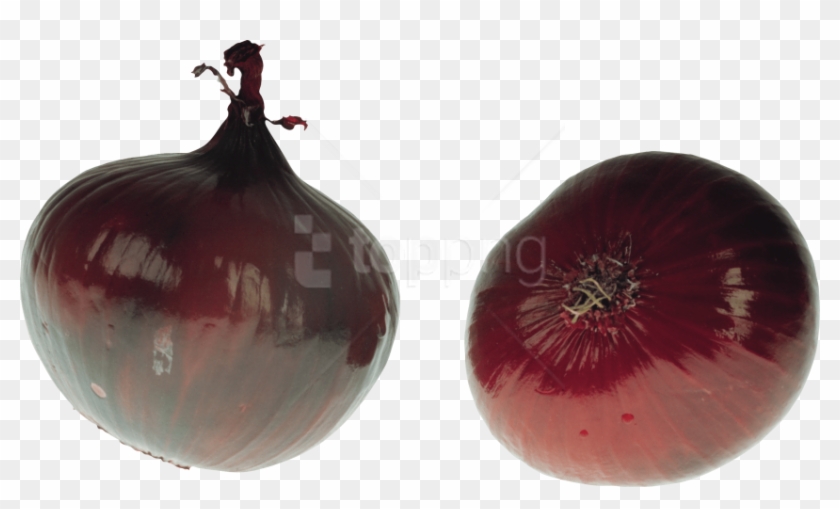 Free Png Download Onion Clipart Png Photo Png Images - Fruit Transparent Png