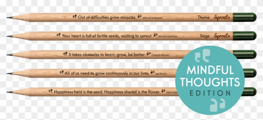 Feel On Purpose With The Mindful Thoughts Edition - Plywood Clipart