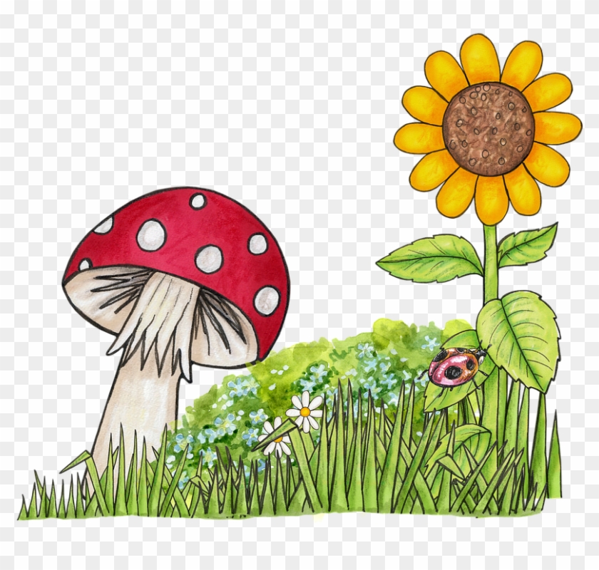 Toadstool Clip Art Free - Png Download