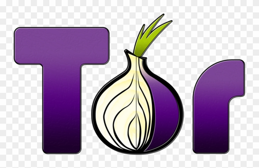 Crops Clipart Onion Root - Tor Browser - Png Download