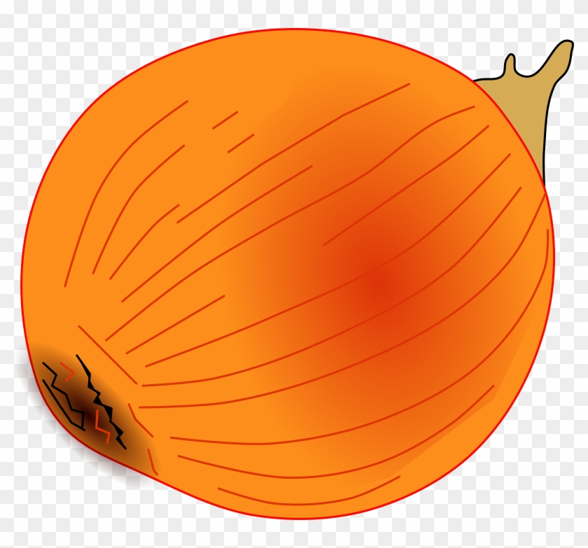 Onion Clipart Free For Download - Sphere - Png Download