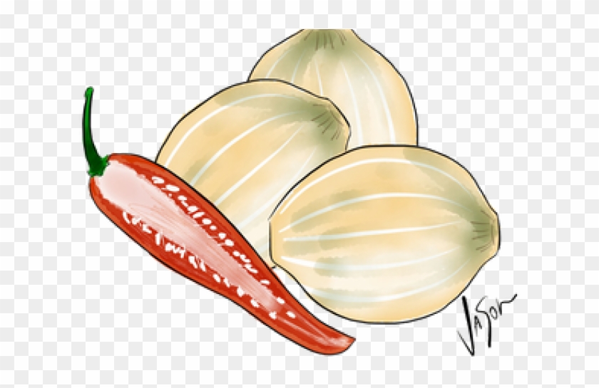 Onion Clipart Pickled Onion - Elephant Garlic - Png Download #5054256