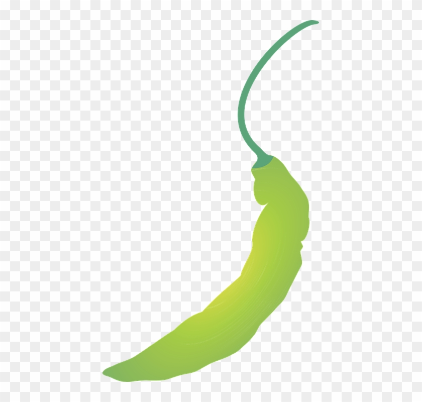 Pepper-scent Capsicum Chinense Jacquim Pepper - Pimentinha De Cheiro Png Clipart #5054546