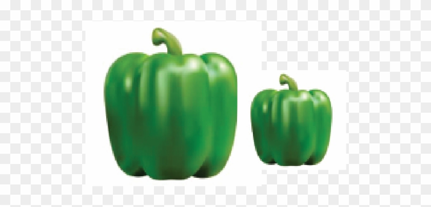 Green Capsicum 1 Kg - Shimla Mirch Clipart #5054588