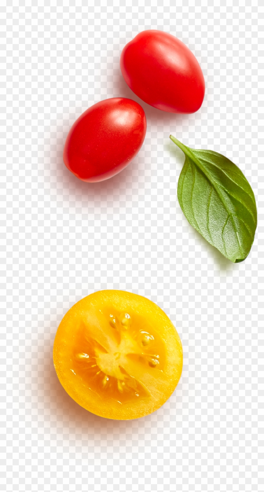 Back To Home - Plum Tomato Clipart