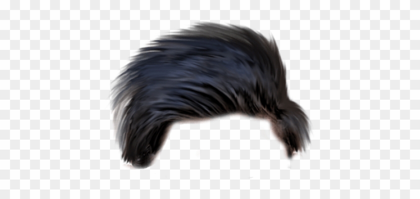 Hairstyles Png Transparent Images - Lace Wig Clipart #5056370