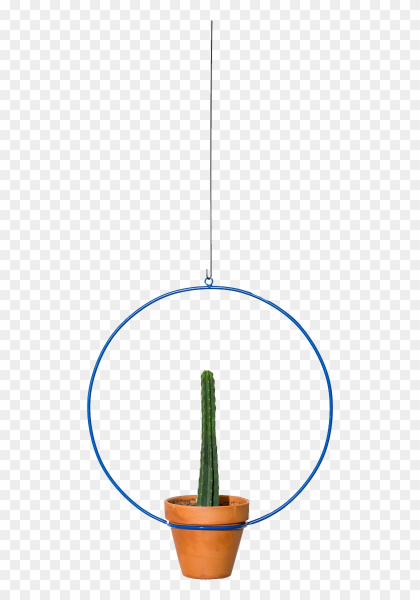 Hanging Circle Planter 18" - Houseplant Clipart