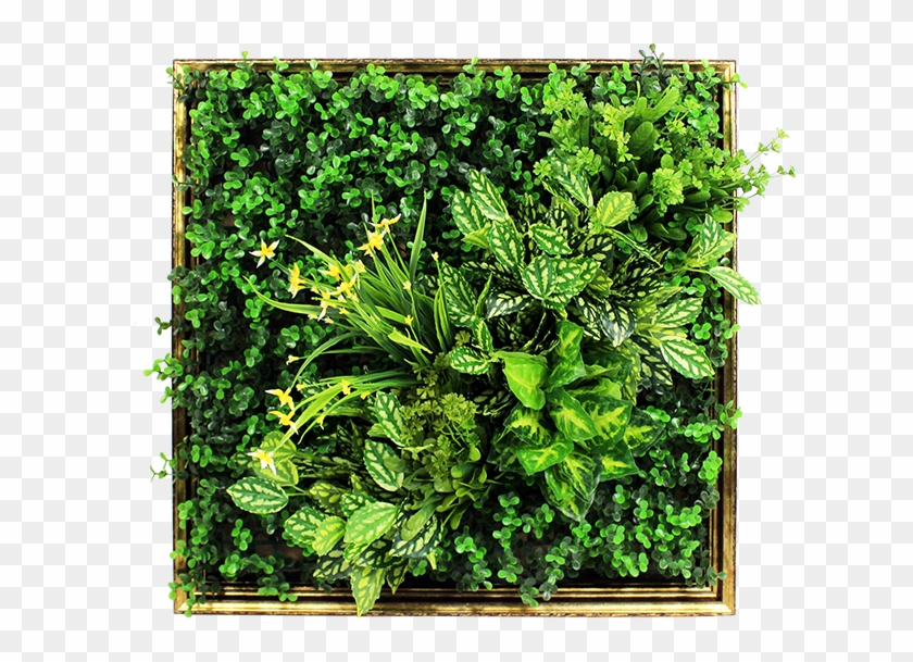 Art 3d Artificial Plant Wall - Diy Framed Wall Plants Clipart