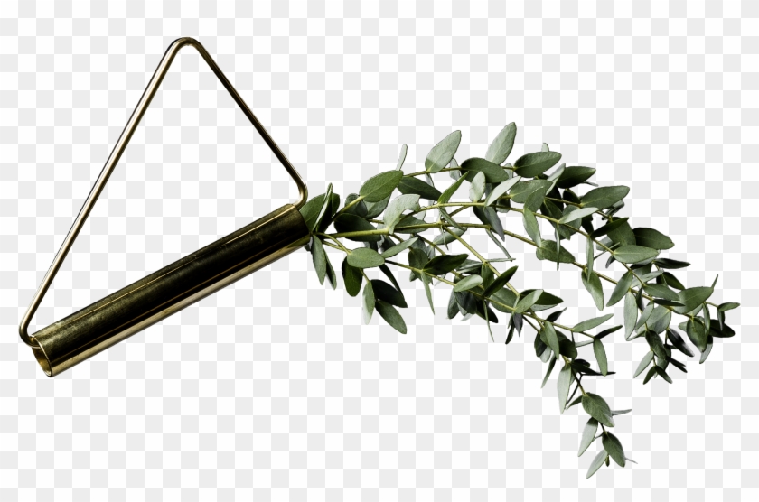 Wall Hanging Plants Png Clipart #5056751