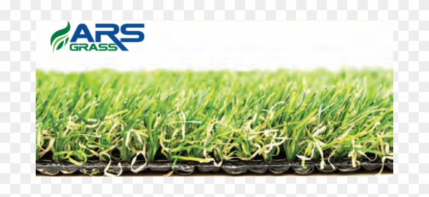 Reunion - Lawn Clipart