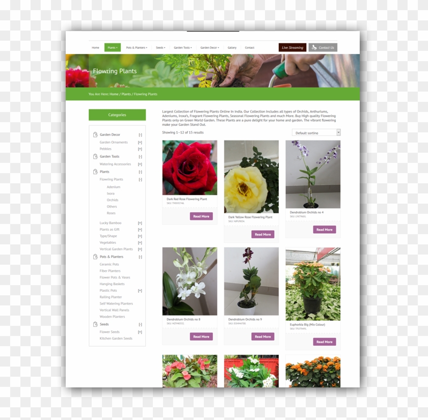 Greenworld3 Greenworld2 Greenworld1 - Floribunda Clipart #5056986