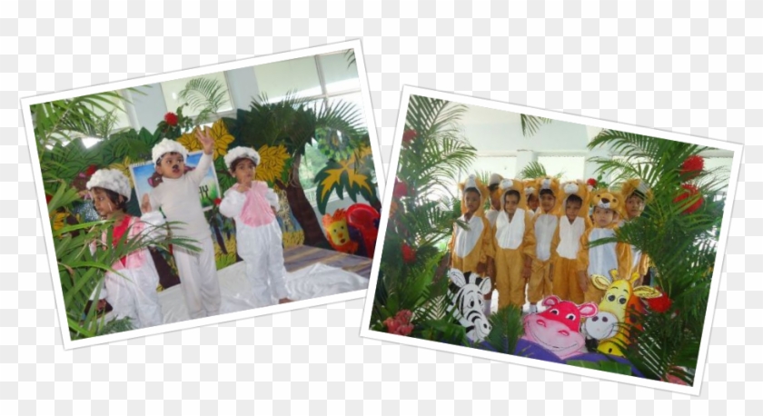 Animal Day - Sabal Palmetto Clipart #5057101