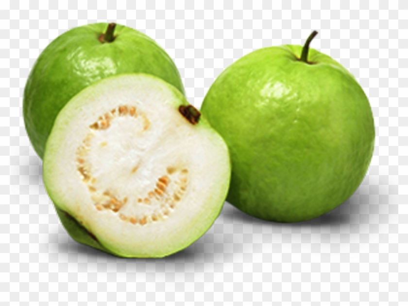 Indian Guava , Png Download - Allahabad Safeda Variety Of Guava Clipart