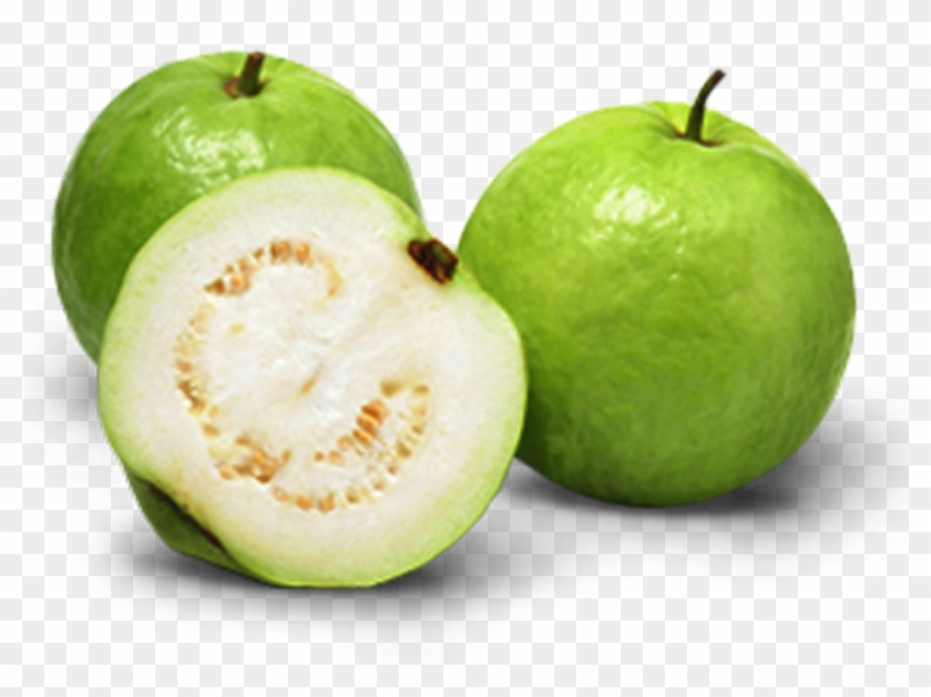 Indian Guava , Png Download - Allahabad Safeda Variety Of Guava Clipart #5057466