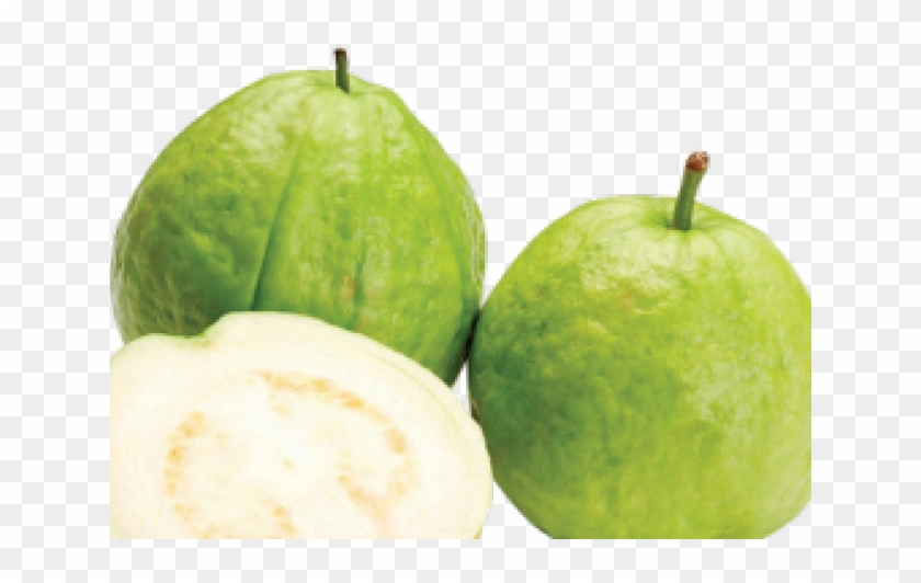 Big Guava Fruit Clipart #5057905