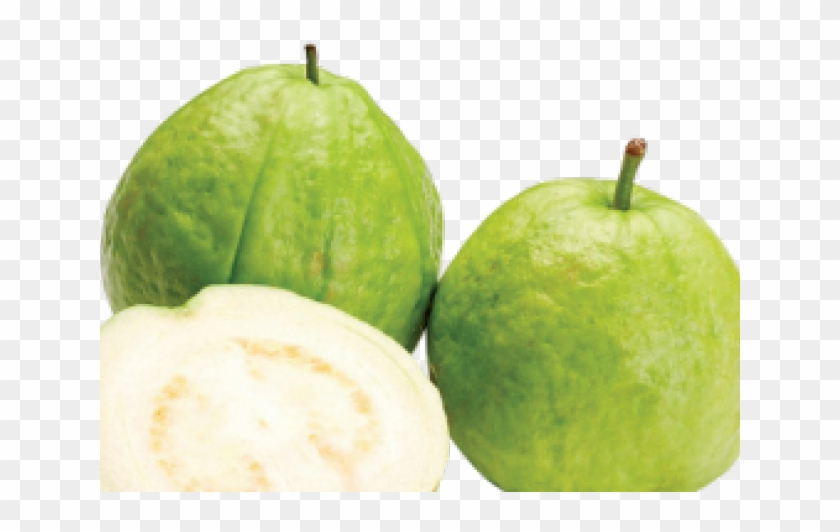 Big Guava Fruit Clipart