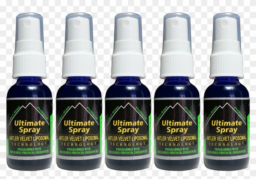 Deer Antlers Png - Bottle Clipart