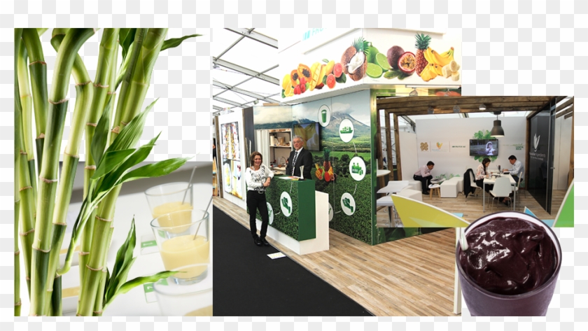 Exclusive Distributor For The European Market, Middle - Interior Design Clipart #5058134