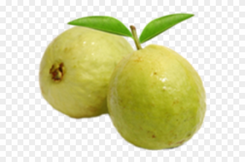 Guava Png Transparent Images - Guava Png Hd Clipart #5058646