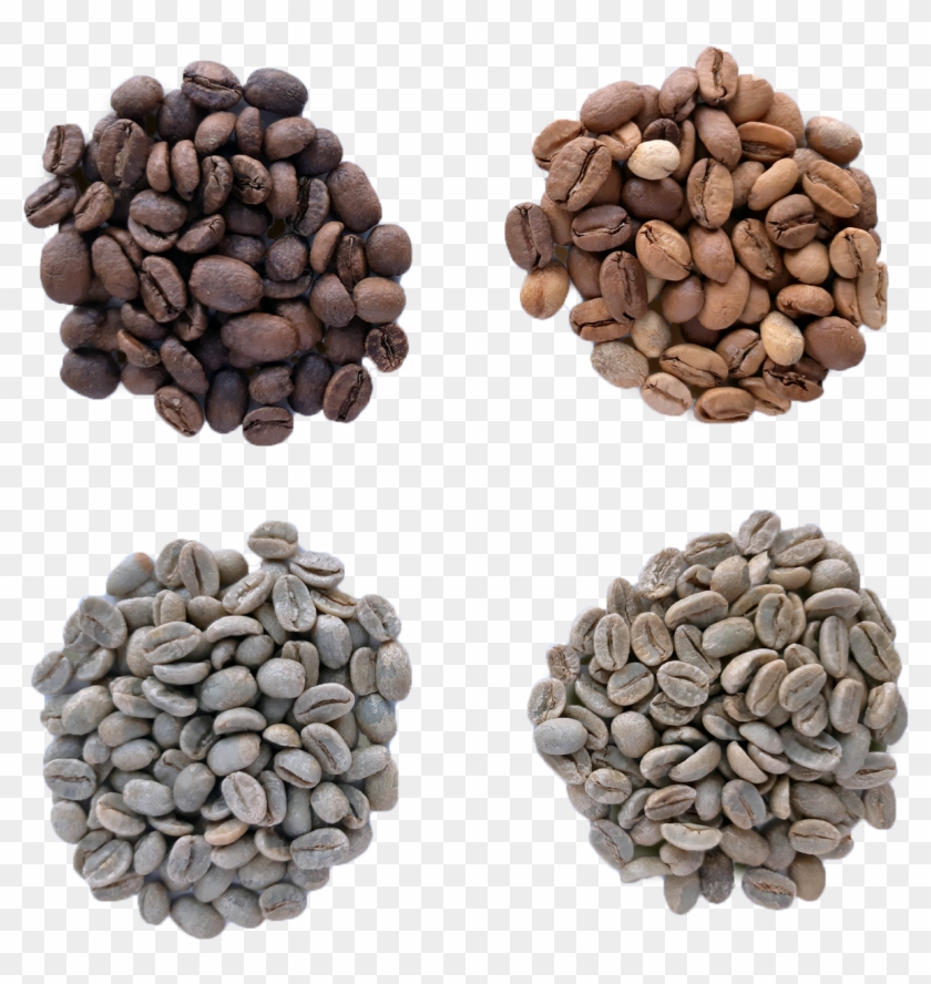 Pulse Clipart #5059158