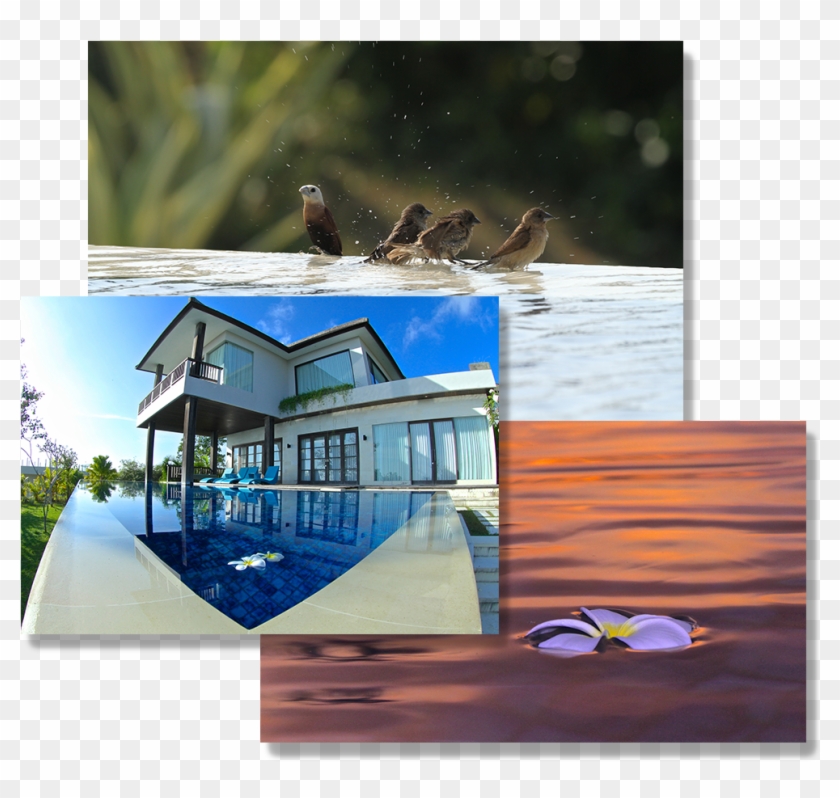 Half Sun Png - House Clipart