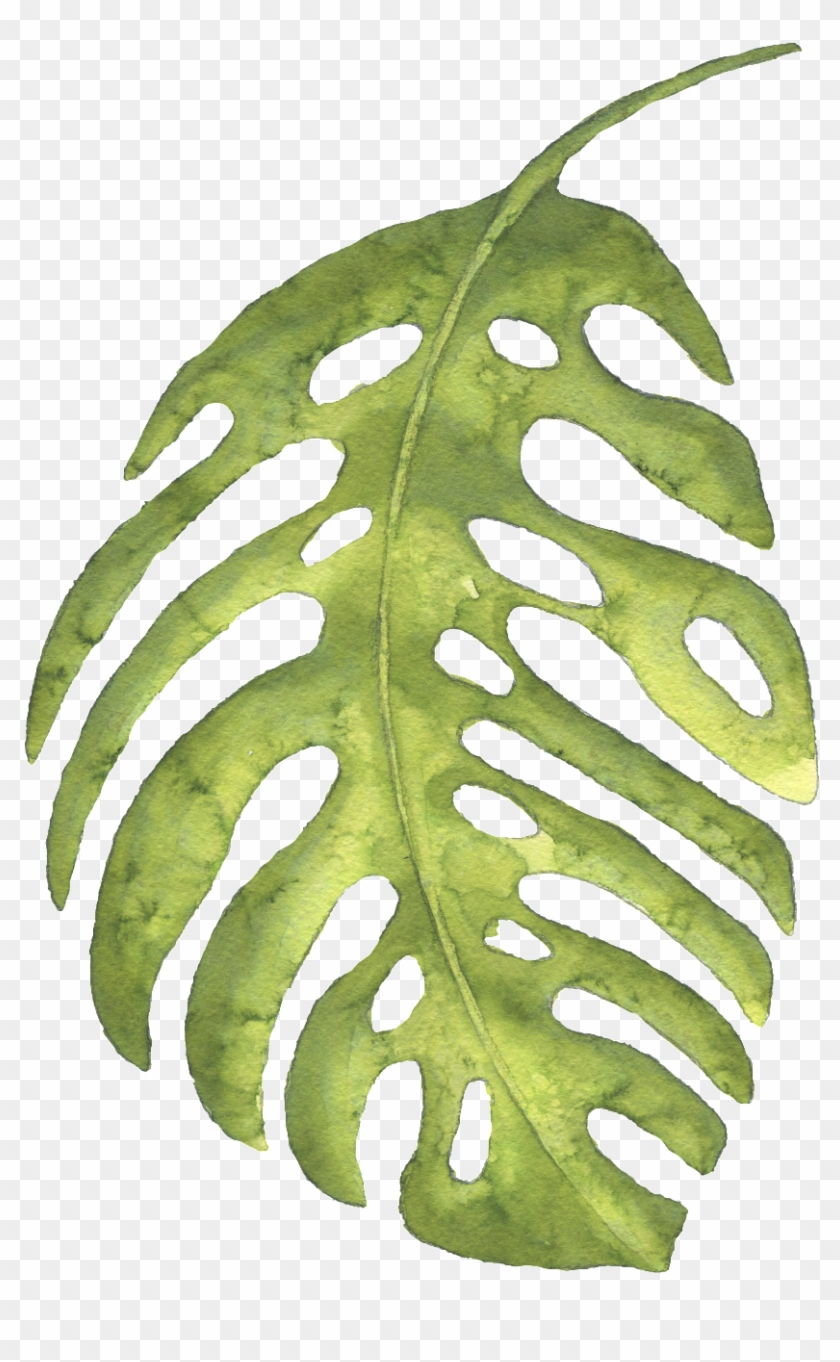 Este Gráficos Es The Green Banana Leaves Large Hand-painted - Watercolor Painting Clipart