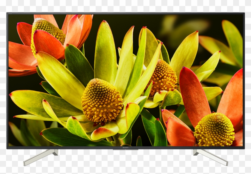 Kd-70xf8305 - Kd70xf8305 Clipart #5061484