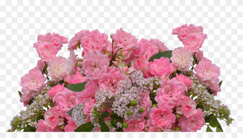 Roses,love,pink Roses,valentine's - Garden Roses Clipart
