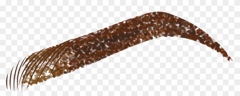 Eyebrow Png Transparent Background - Eyebrow Transparent Clipart