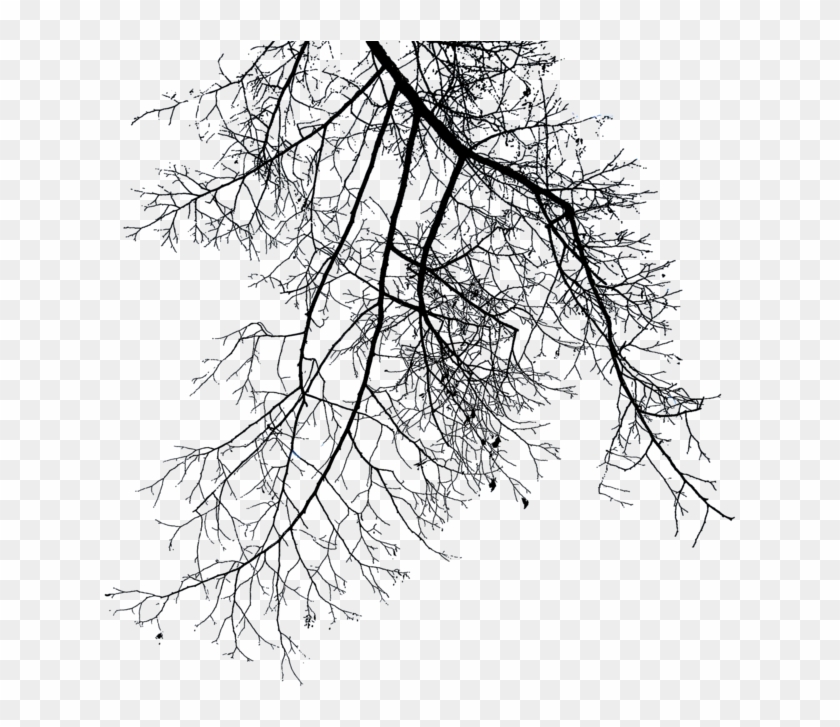 Best Png - Winter Tree Branches Png Clipart