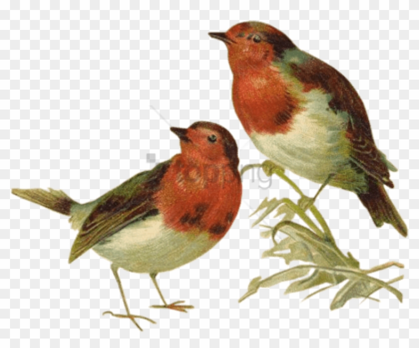 Free Png Victorian Birds Png Image With Transparent - Victorian Birds Clipart #5062880