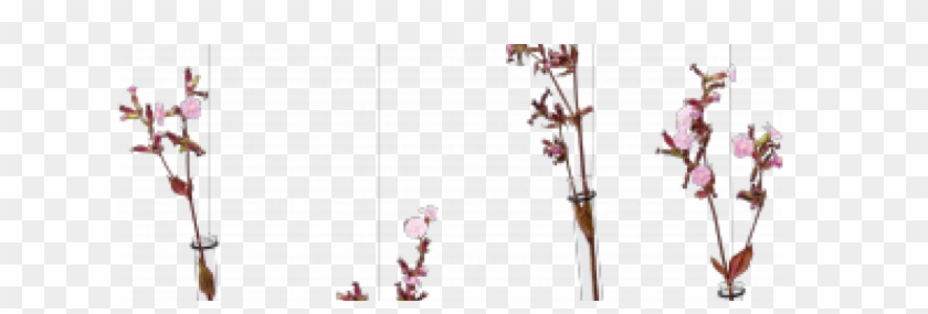 Flensted Mobiles Clipart #5063950