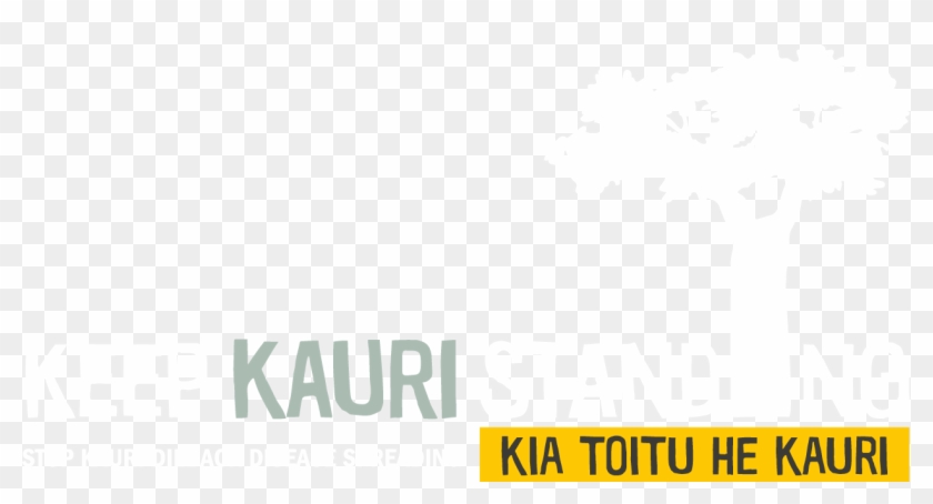 Keep Kauri Standing - Kauri Dieback Clipart
