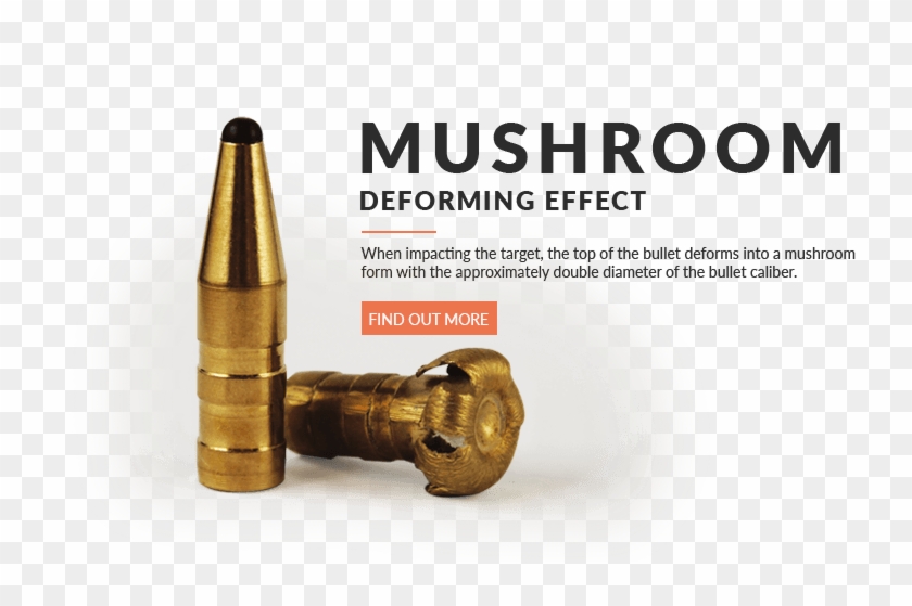 100 Clip Bullet - Fox Bullets - Png Download