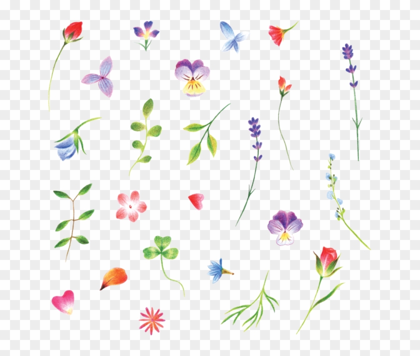 These Tiny Flowers By Jess Chen Have Completely Won - Tiny Flowers Png Transparent Clipart